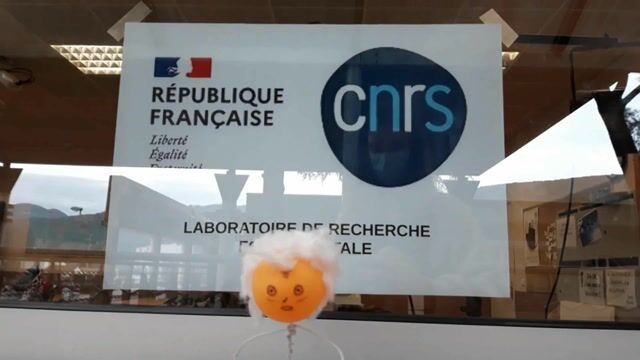 Ingénieur(E) de recherche fondamentale