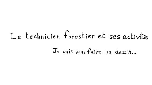 Le technicien forestier et ses activités