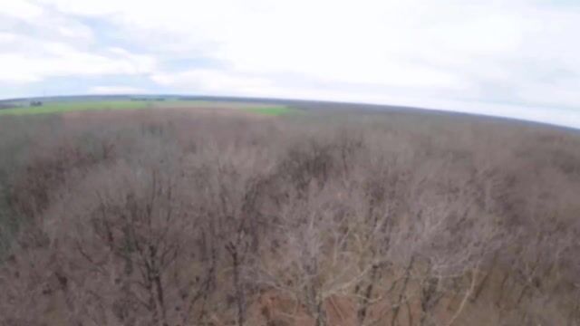 Forestier plus qu'un métier