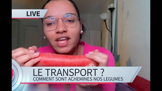 Transport Primever