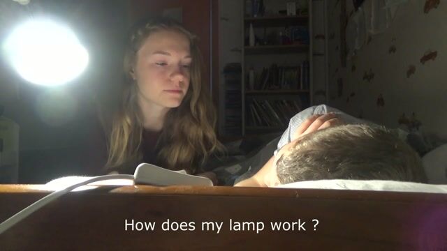 La fée de l'électricité