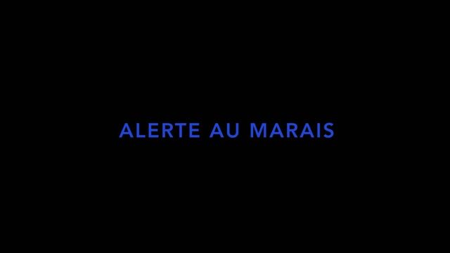Alerte au marais