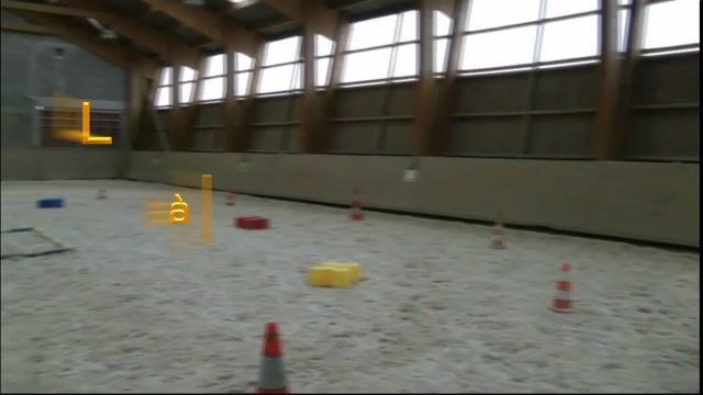 La femme qui parlait aux chevaux