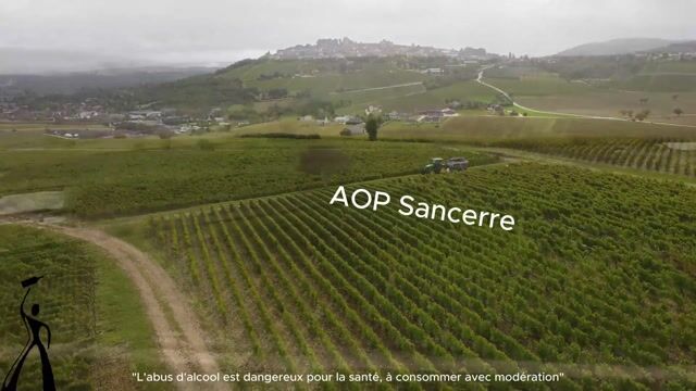 Bienvenue à la Viti Académie