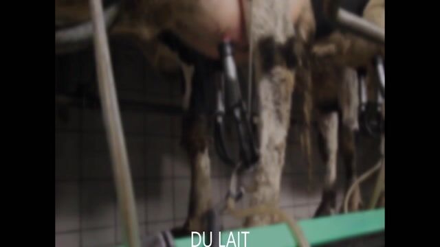 ELEVEUR PARCE QUE JE VEAU BIEN!