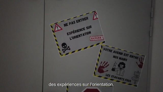 Les STAVavants fous