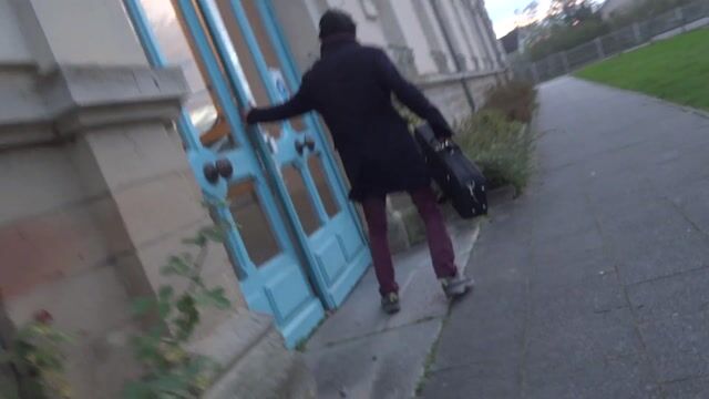 Le luthier et la mouche