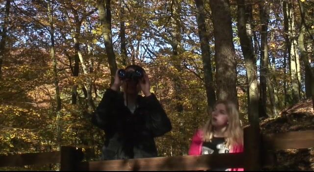 A Day in the Life of a Raptor Trainer