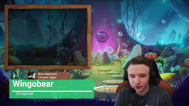 Touche pas à mon streamer !