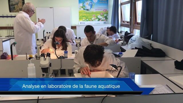 Tous en GEMEAU !