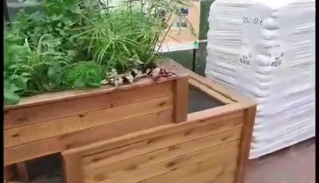 Aquaponiculteur métier de demain