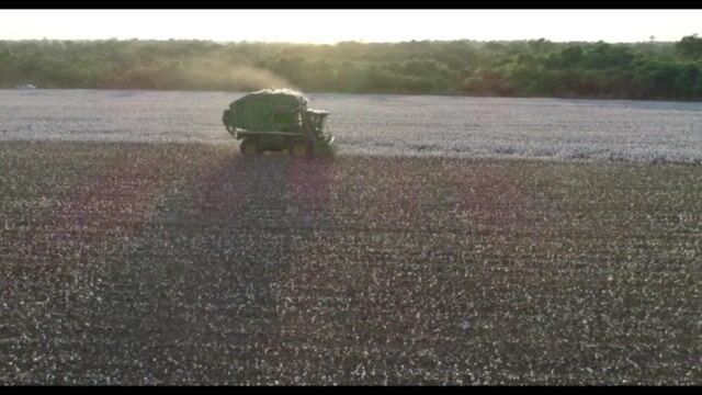 Agriculture ou Agronomie ?