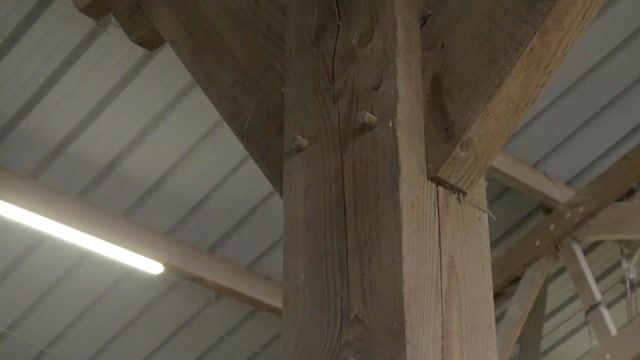 Compagnon charpentier: entre tradition et modernité.