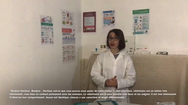 La profesión de veterinario
