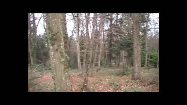 Prendre un peu de hauteur