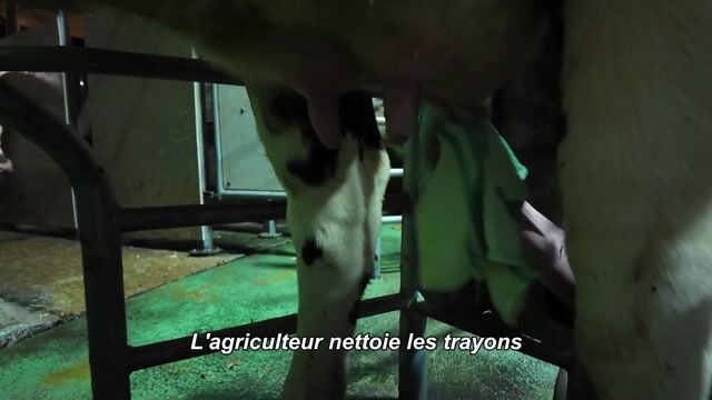 Bienvenue au GAEC Foucault
