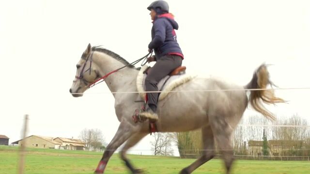 Cheval boueux, cheval heureux