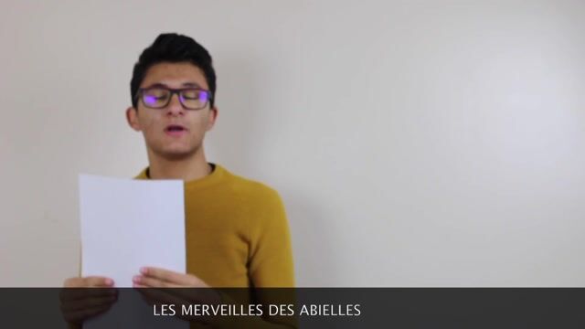 Les merveilles des Abeilles