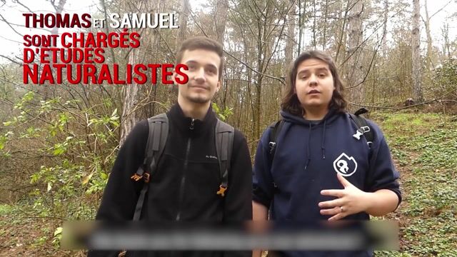 Chargés d'études naturalistes