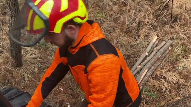 Pilote de machine de bucheronnage : maitrise de la technologie