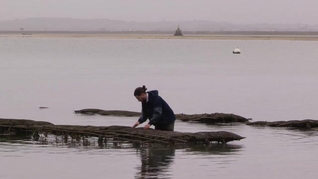 Romain, la passion de la mer
