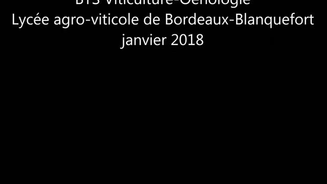 rejoins-moi ! BTS Viticulture-Oenologie du Lycée agroviticole de Bordeaux-Blanquefort