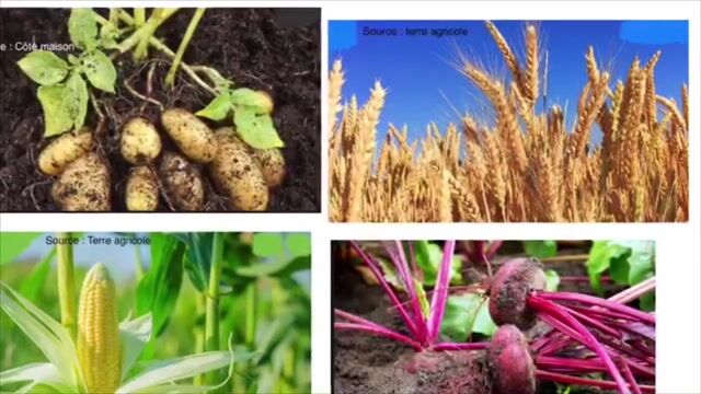 Le métier d'agriculteur