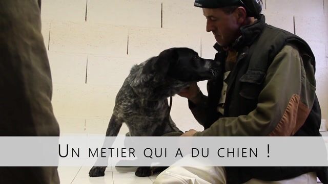 Un métier qui a du chien !