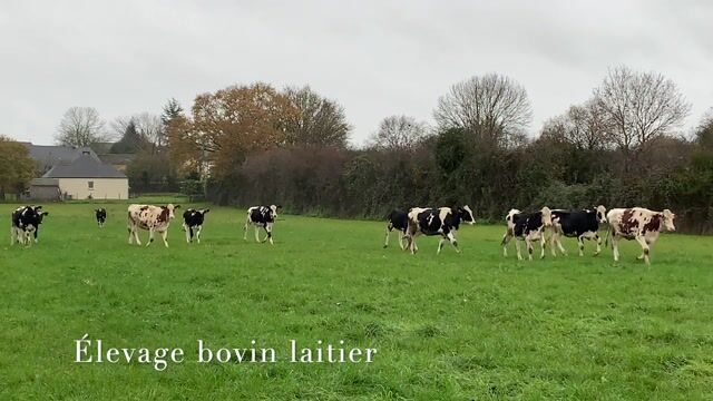 la culture de la précision