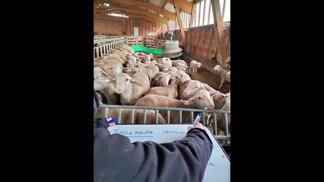 Agriculteur, un métier au grand coeur