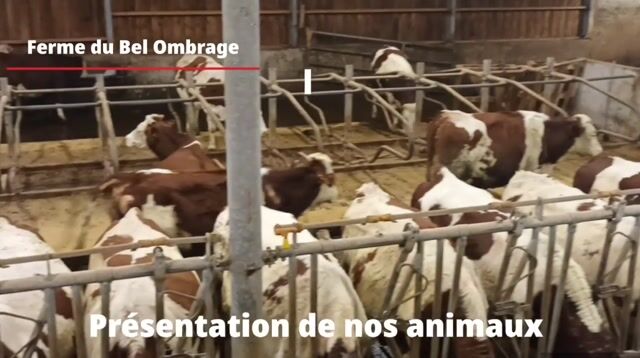 la passion des bêtes est dans notre sang