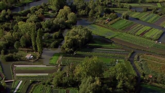 Ils ont plus de 300 ans !