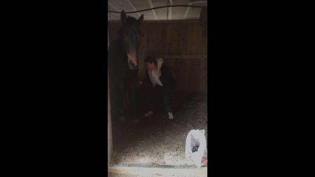 Grand galop