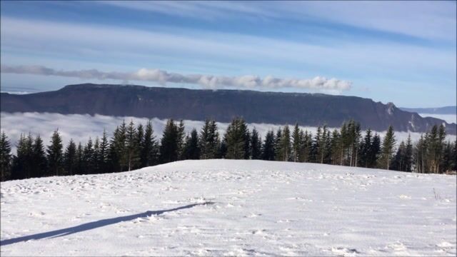 Savoie'r être vacher