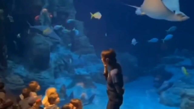 Miroir diapré de l'océan