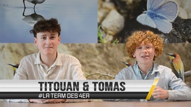Le JT de 13h25 - Zoom sur le métier d'agriculteur