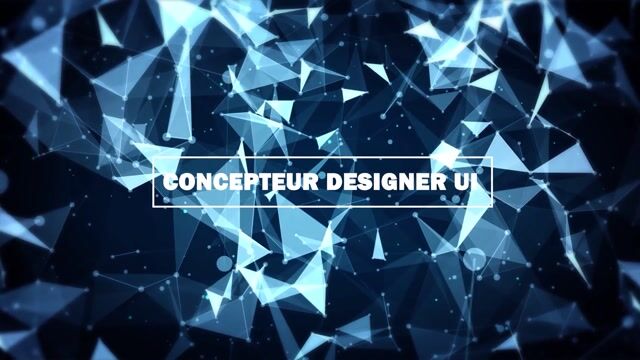 C'est quoi la formation CDUI ?