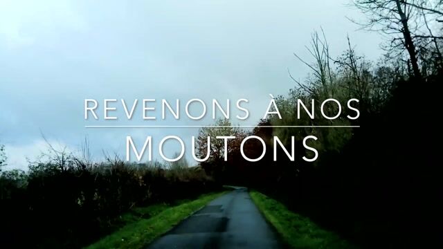 Revenons à nos moutons