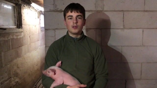 Le vrai visage de l'agriculture
