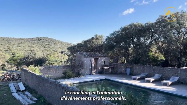 Organisateur de séminaires (team building)