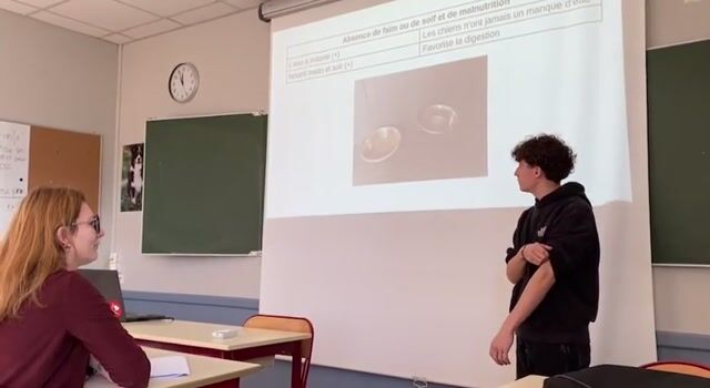 Plus qu'un coach, un mentor