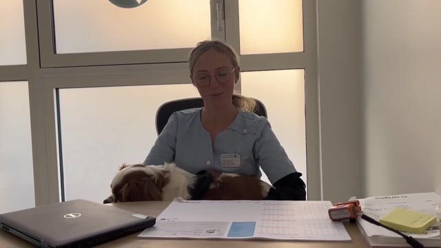Une vétérinaire au top