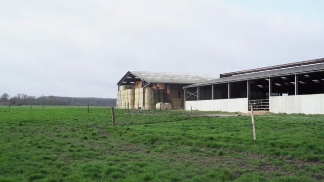 Une journée à la ferme