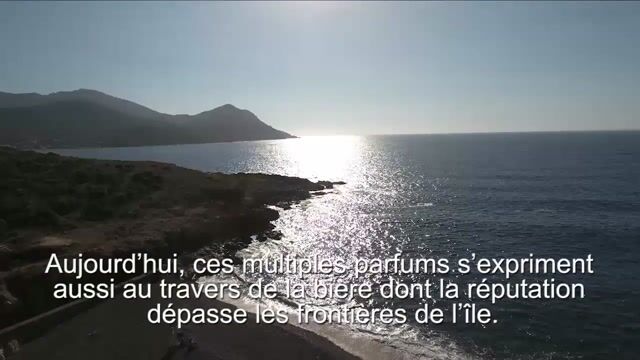 Biérologue une histoire de pression