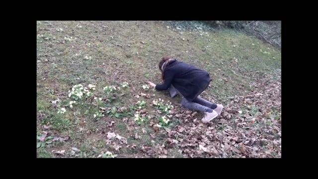 Au pays des rêves ...