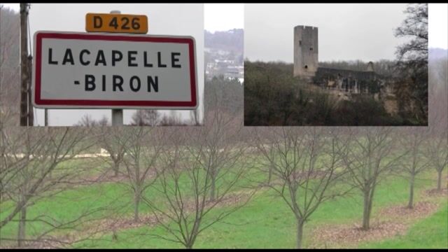 De l'arbre à la charpente
