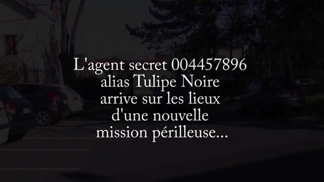 Mon chemin
