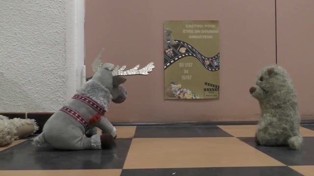 A la recherche du nouvel animateur