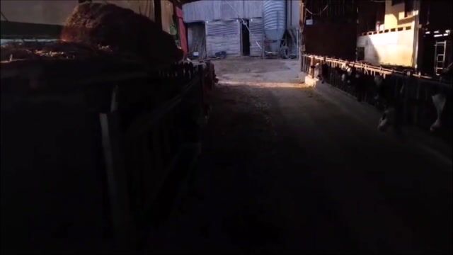 Une journée à la ferme.