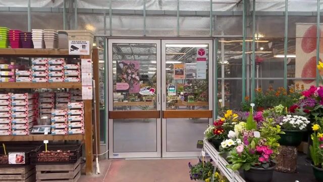 Les fleurs d'Anna